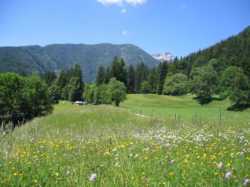 Bauernhof Haim-Schnepfleitner Pichl bei Aussee Exterior foto